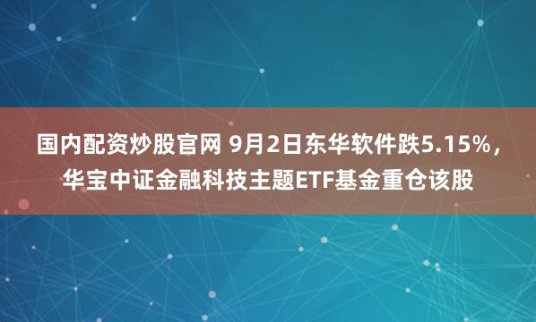 国内配资炒股官网 9月2日东华软件跌5.15%，华宝中证金融科技主题ETF基金重仓该股