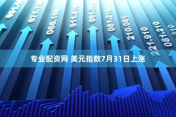 专业配资网 美元指数7月31日上涨